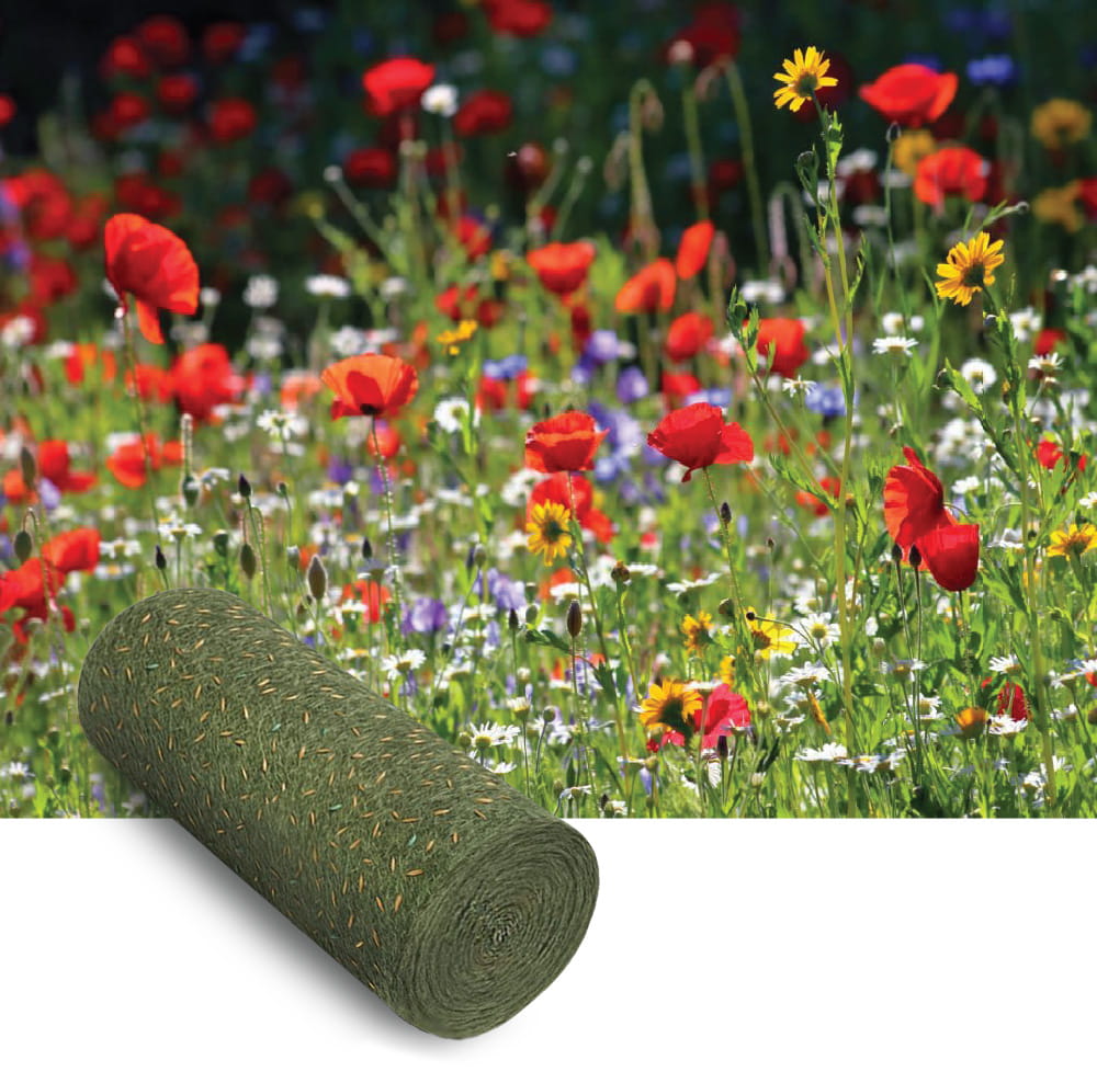 Blomsterängsblandning Perenn – çok yıllık çayır karışımı